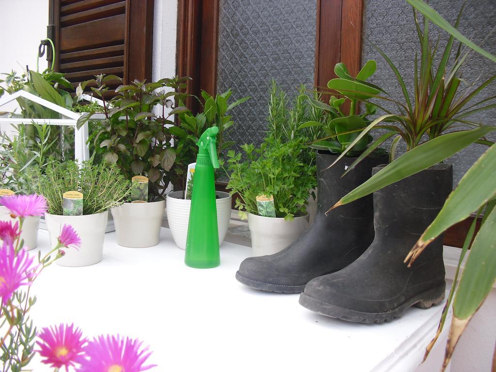 Hostel Geres Porto Ngoại thất bức ảnh
